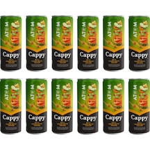 Cappy Atom Ballı Karışık Meyve Nektarı 330 Ml X 12 Adet