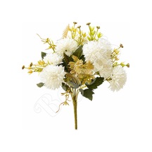 Beyaz