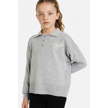 Defacto Kız Çocuk Polo Yaka Nakışlı Triko Kazak G5443a825wngr2 Gri-gr2