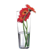 Paşabahçe Vazo Flora 203020 Çok Renkli