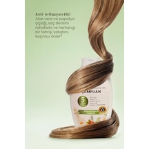 Argan Yağlı Sülfatsız Şampuan - 5 Bitki Özlü, Boyalı Saçlar İçin Besleyici 300ml