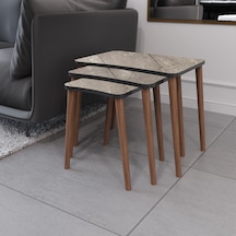 Zigon Sehpa & Yan Sehpa 3'lü Ahşap Ayaklı Salon Sehpa Gordion