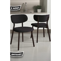 Antrasit - Kahverengi