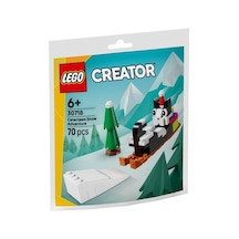 Lego Creator 30718 Cataclaws Snow Adventure