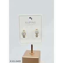 Küpe Metal Özel Hediye Model 026324 Çok Renkli