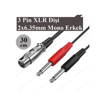 3-Pin Xlr Dişi To 2 X 1-4 "6.35Mm Mono Erkek Trs Y Kablo - 30Cm