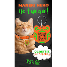 Turuncu