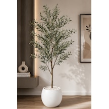 Yapay Zeytin Ağacı 170 Cm - Beyaz Küre Saksılı