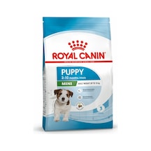 Royal Canin Mini Junior Küçük Irk Yavru Köpek Maması 800 G