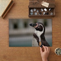 Yakın Çekim Sevimli Penguen Tasarımı 240 Parça Ahşap Puzzle Ahşap Kutuda Mpy50392