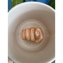 Çok Renkli