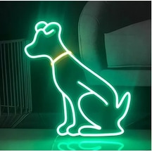 Led Işıklı Köpek Duvar Tablo
