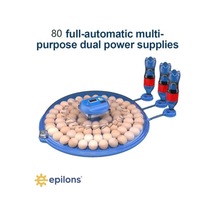 80 Yumurta Kapasiteli Otomatik Çiftlik Kuluçka Makinesi : Yumurta, Bıldırcın, Civciv Ve Kanatlılar İ