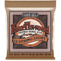 Ernie Ball P02153 09-46 12 Telli Akustik Gitar Teli