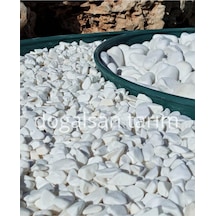 Beyaz Dolomit Taş 1 Kg 1-2 Cm Dere Taşı Çakıl Taşı Saksı Taşı Akvaryum, Teraryum Taşı Bahçe Taşı Diğer