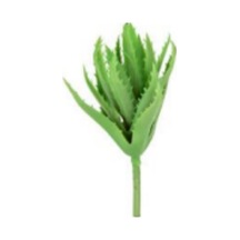 Yapay Eçeverya Sukulent Kaktüs Yeşil 19 Cm. Çok Renkli