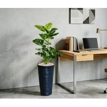 160 Cm Yapay Devetabanı Monstera - Dev Boy, Siyah Modern Dekoratif Saksılı Yapay Çiçek Çok Renkli