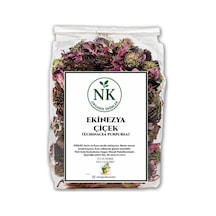 Ekinezya Çiçek Echinacea Purpurea 500gr