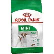 Royal Canin  Mini Adult Yetişkin Küçük Irk Köpek Maması 2 Kg