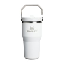 Stanley The Iceflow Flip Straw 2.0 Tumbler 0.6l / 20oz Frost Çok Renkli