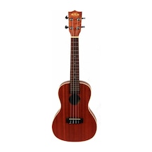 Kala Satin Maun Concert  Ukulele