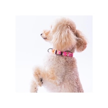 Daisy Papatya Desenli Köpek Boyun Tasması Ayarlanabilir Köpek Tasması S Pembe