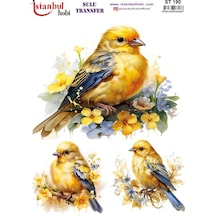 Sulu Transfer Kağıdı 25x35cm St-190