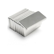 Lexroo Neodyum Mıknatıs Dikdörtgen 20x10x2 Mm - 7 Adet