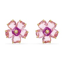 5650563 Swarovski Küpe Florere:Pe Pink/Gos Çok Renkli