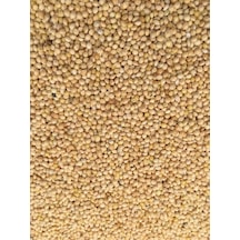 Ak Darı Muhabbet Kuşu Yemi 5 KG