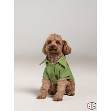 Salya Store Good Vibes- Yeşil Keten Yazlık Köpek Gömleği Küçük Irk