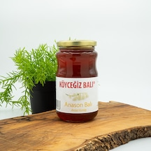 Köyceğiz Balı Anason Balı Cam Kavanoz 450 G