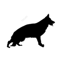 Aalman Çoban Köpeği Araba Sticker