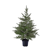 Ikea Vinterfint Yapay Bitki 15 Cm Yeşil