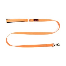 Tailpetz Match Leash Köpek Gezdirme Kayışı Neo-turuncu Medium Açık Mavi