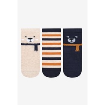 Penti Erkek Çocuk Cold Bear 3lü Çok Renkli Soket Çorap