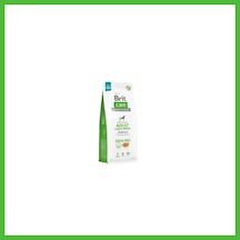 Vaveni Skin Coat Adult Large Breed Somonlu Büyük Irk Tahılsız Yetişkin Köpek Maması 12 Kg Arz