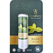 Deraderm Natural Lip Balm Nane 5 Gr