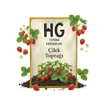 Hg Çilek Toprağı Özel Karışım 40 LT