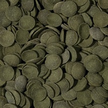 Tropical Green Algae Wafers 50 Gram Balık Yemi