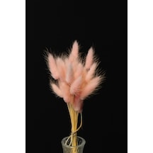 Tozpembe