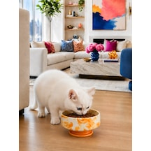 Mama Kabı Kedi Ve Köpek 1 Adet Doğal Mama Veya Su Kabı Soft Sarı Marble