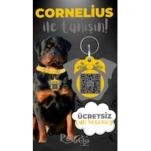 Petjoo 20.Cornelius Gri-Sarı Qr'lı Köpek Künyesi