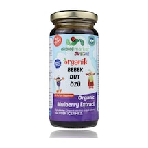 Ekoloji Market Organik Bebek Glutensiz Dut Özü Diğer