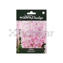 Çiçek Tohumu Şebboy Genta Prestige