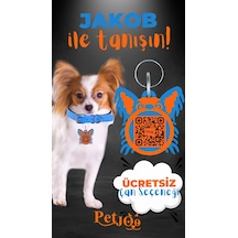Petjoo 8.Jakob Turuncu-Mavi Qr'lı Köpek Künyesi