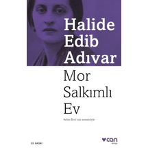 Mor Salkımlı Ev - Yqbx-646869