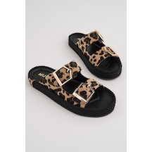 Leopar