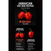 Jamaican Hot Red Pepper / 300.000 Scoville - Gerçek Taze Acı Biber