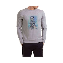 Anime Fairy Tail Glass Guild Emblem Baskılı Gri Erkek Sweatshirt (530948512)